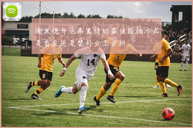 塞尔维亚轻取冰岛约基奇贡献全面数据约维奇独砍21分助球队大胜